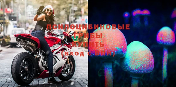синтетический гашиш Алексеевка