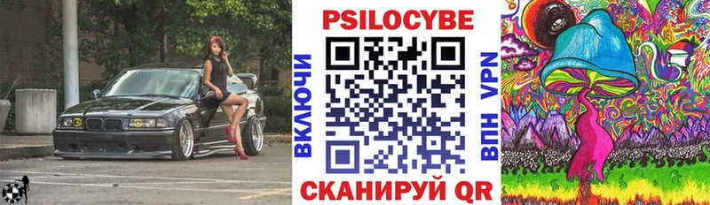 omg ссылка  Далматово  Галлюциногенные грибы GOLDEN TEACHER 